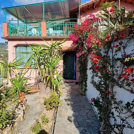 Astra Apartment